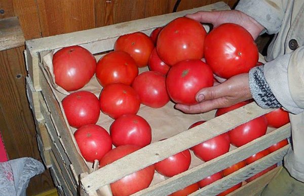 Дозревание помидор  в деревянных ящиках