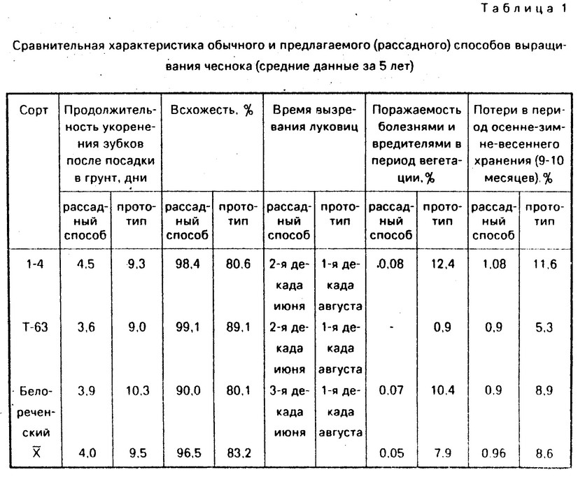 Технологическая карта по выращиванию чеснока