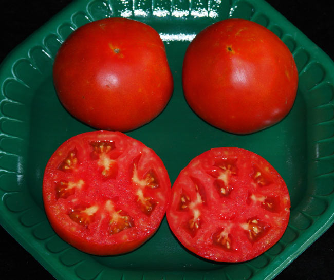 Лучшие сорта ультраскороспелых помидор: посадка и уход