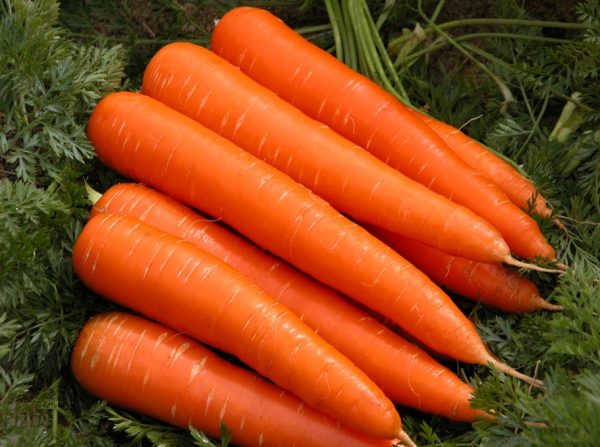 что посадить после моркови